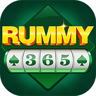 Rummy 365 APK icon